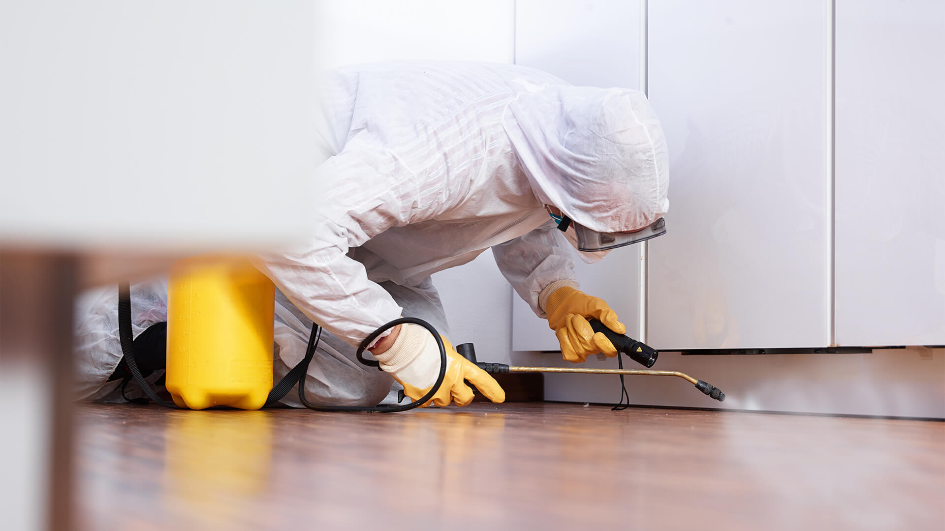 Why is pest control important?
